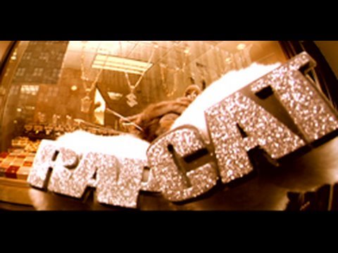 Rapcat Music Video – Rap cat