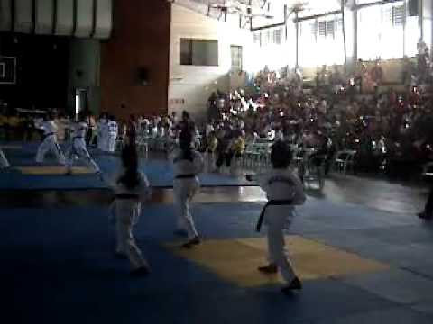 Palarong Pambansa 2012 Taekwondo, Syncronize (Poomsae), Semi Final